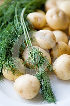 Fresh potatoes and dill