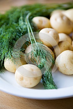 Fresh potatoes and dill