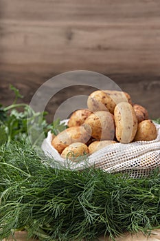 Fresh potatos in potato bag after harvest, dill, parsley, top view