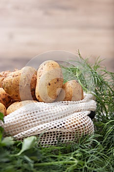 Fresh potatos in potato bag after harvest, dill, parsley, top view