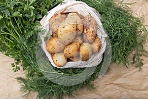 Fresh potatos in potato bag after harvest, dill, parsley, top view
