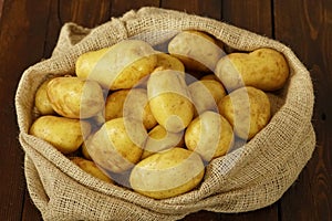 Fresh potatos in potato bag after harvest