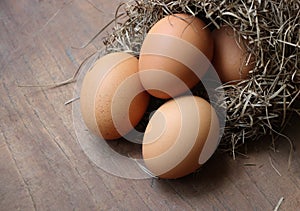 Fresh poultry eggs are uncooked near the nest on the wooden background