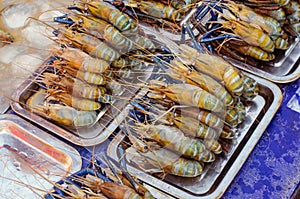 Fresh prawn or river Shrimp on metal tray seafood market ,raw for cooking