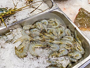 Fresh prawn or shrimp for sale at seafood market