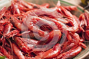 Fresh Prawns