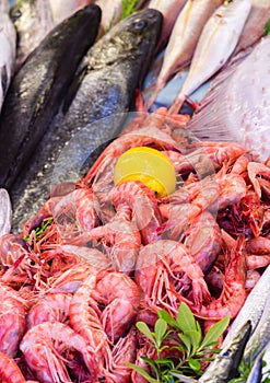 Fresh prawns at the fishmonger stall
