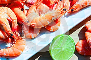 fresh prawns for gourmets photo