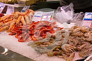 Fresh prawns on ice in seafood market