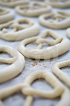 Fresh Pretzel Breze or Brezel Dough on Baker's Tray