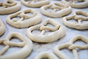 Fresh Pretzel or Brezel Dough on Baker's Tray