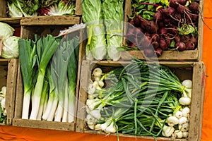 Fresh produce display at the market