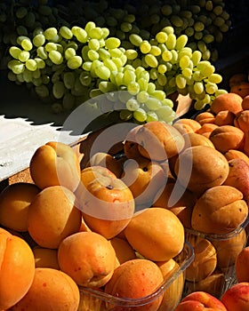 Fresh Produce Display at a Market in Irpin, Ukraine