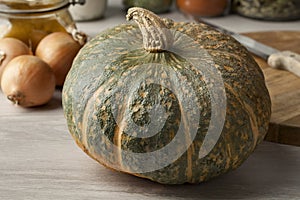 Fresh pumpkin Courge Delica Moretti