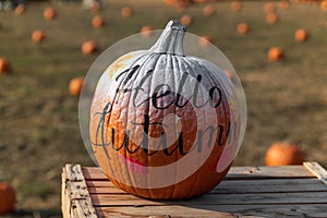 Fresh pumpkin with handwritten inscription