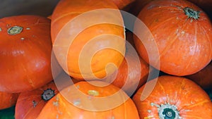 fresh pumpkin in supermarket