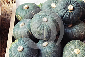 Fresh pumpkins on the market