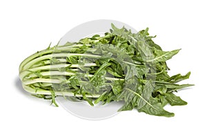 Fresh Puntarelle vegetable