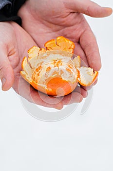 Fresh purified mandarin on the hand