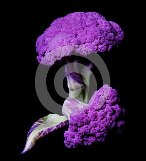 Fresh Purple Cauliflower
