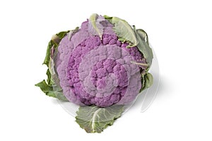 Fresh purple cauliflower