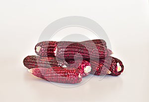 Fresh purple corn isolated on a white background