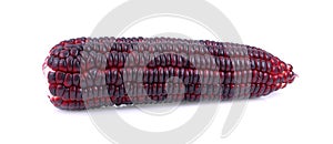 Fresh purple corns on a white background.