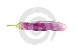 fresh purple eggplant one long size isolated on white background with clipping path