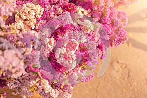 Fresh purple flowers, Focusing on purple bouquets