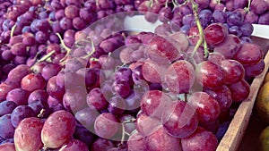 Fresh purple grape