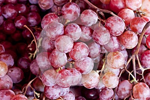 Fresh purple grape fruit background,