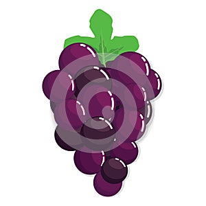 Fresh Purple Grape Fruit