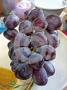 Fresh Purple Grape Sprig with Water Droplets