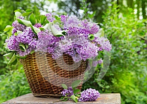 Fresh purple lilac flower bouquet on wood