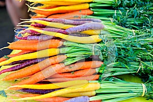 Fresh purple and orange carrots on display at the farmers market.