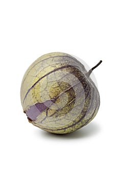 Fresh purple tomatillo photo