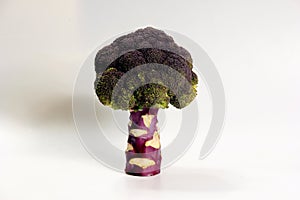 Fresh red broccoli on white background photo