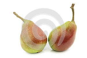 Fresh `Qtee` pears
