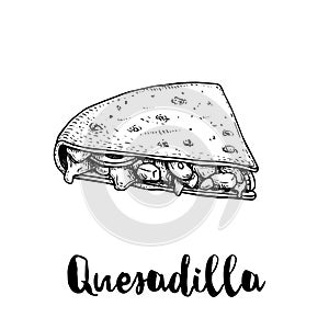 Fresh quesadilla. Hand drawn sketch style illustration. Mexican traditional fast food. Vector drawing.
