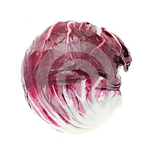 Fresh radicchio