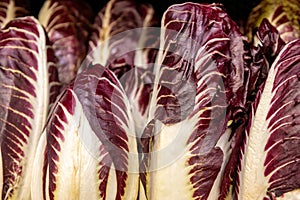 Fresh radicchio leaves close-up. Red chicory vegetable
