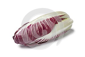 Fresh Radicchio rosso photo