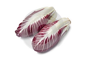 Fresh Radicchio rosso