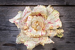 Fresh Radicchio salad