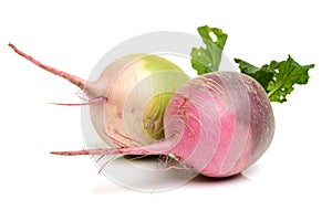 Fresh radish