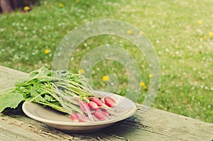 Fresh radish in a bowl/fresh radish in a bowl on an old wooden background