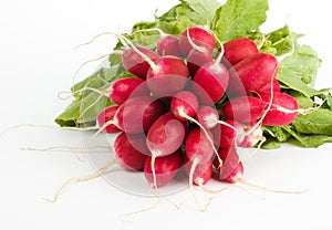 Fresh radish bunch
