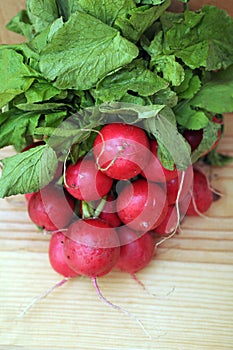 A fresh radish bunch