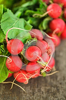Fresh radish bunch