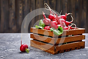 Fresh radish with green leaf in wooden